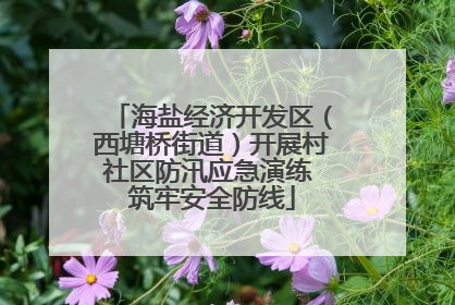 海盐经济开发区（西塘桥街道）开展村社区防汛应急演练 筑牢安全防线